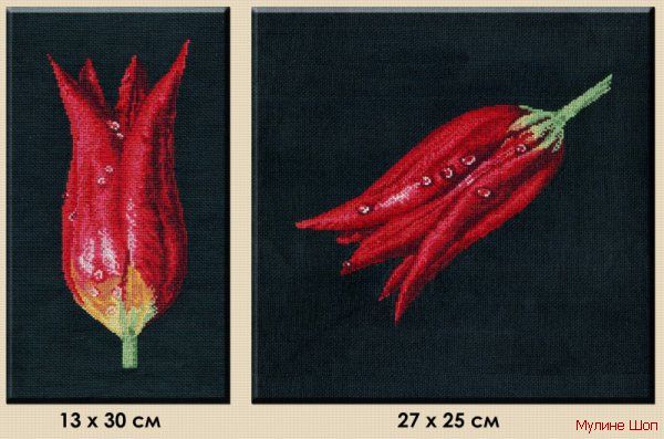 Набор для вышивания "Тюльпаны-диптих"